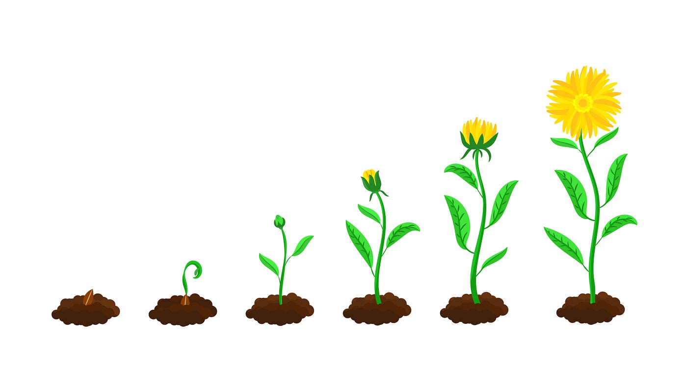 Bloom wherever you are planted – Unlock your true potential